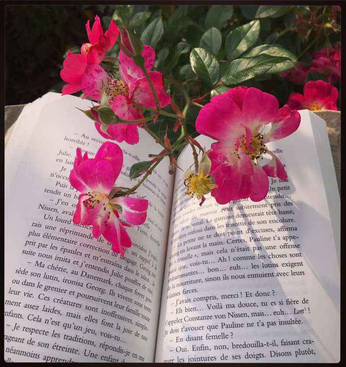 livre ouvert et fleurs