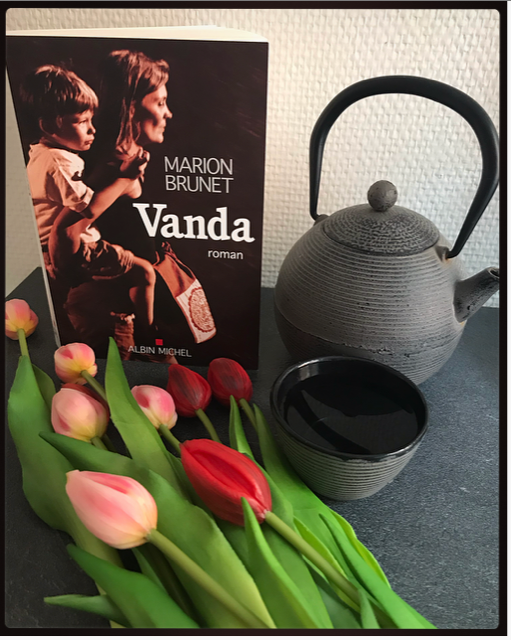 Vanda, de Marion Brunet aux éditions Albin Michel